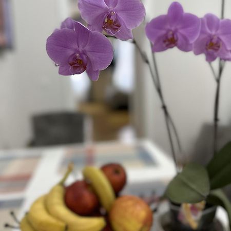 Boem 2 Sibiu Old Town Apartman Kültér fotó